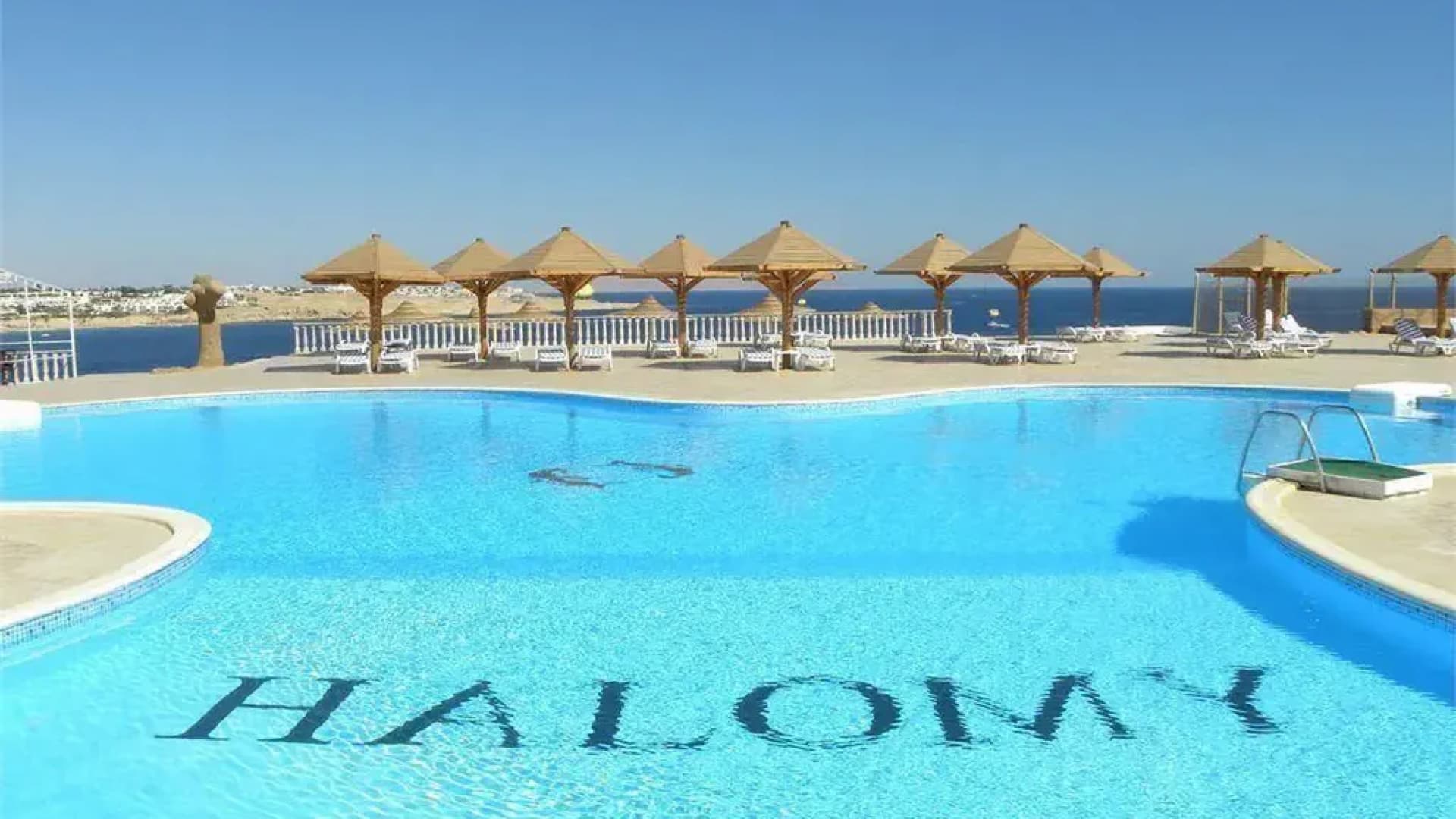 All Inclusive w Egipcie! 🌴🇪🇬 7 Dni w Hotelu Halomy 3⭐, Wylot z Poznania ✈️